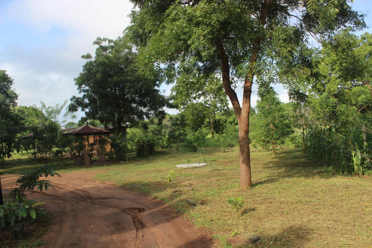 Wilpattu Holiday Home Nochchiyagama Екстер'єр фото