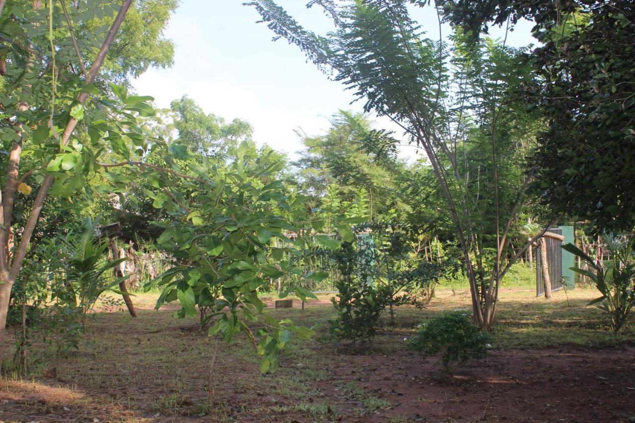 Wilpattu Holiday Home Nochchiyagama Екстер'єр фото