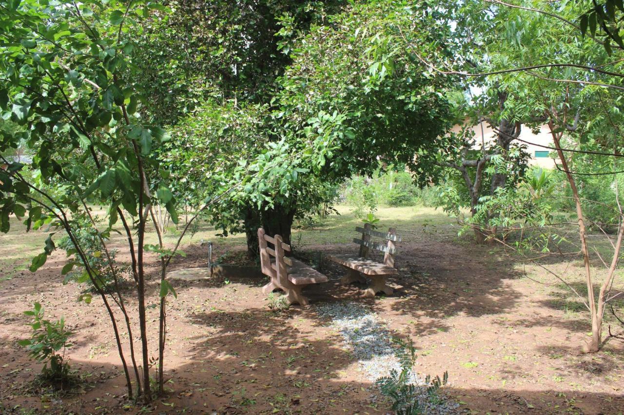 Wilpattu Holiday Home Nochchiyagama Екстер'єр фото