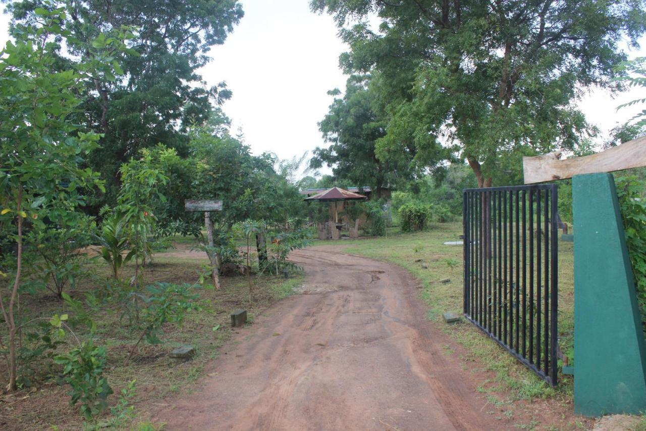 Wilpattu Holiday Home Nochchiyagama Екстер'єр фото
